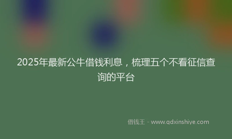 2025年最新公牛借钱利息，梳理五个不看征信查询的平台