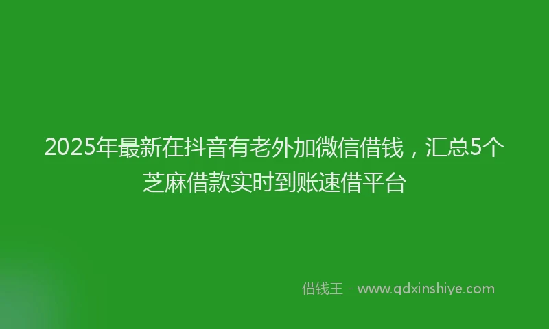 2025年最新在抖音有老外加微信借钱，汇总5个芝麻借款实时到账速借平台