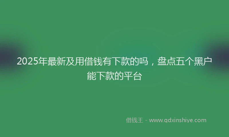 2025年最新及用借钱有下款的吗，盘点五个黑户能下款的平台