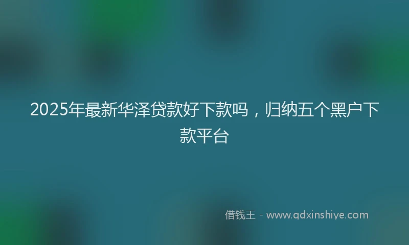 2025年最新华泽贷款好下款吗，归纳五个黑户下款平台
