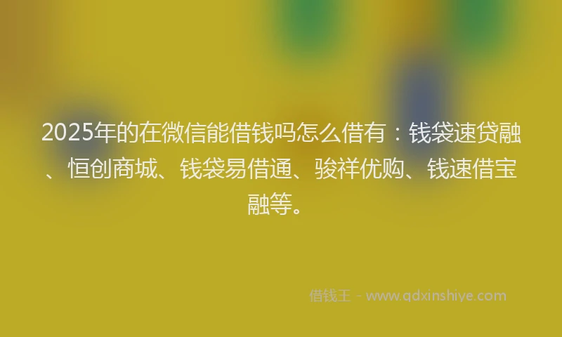 2025年的在微信能借钱吗怎么借有：钱袋速贷融、恒创商城、钱袋易借通、骏祥优购、钱速借宝融等。