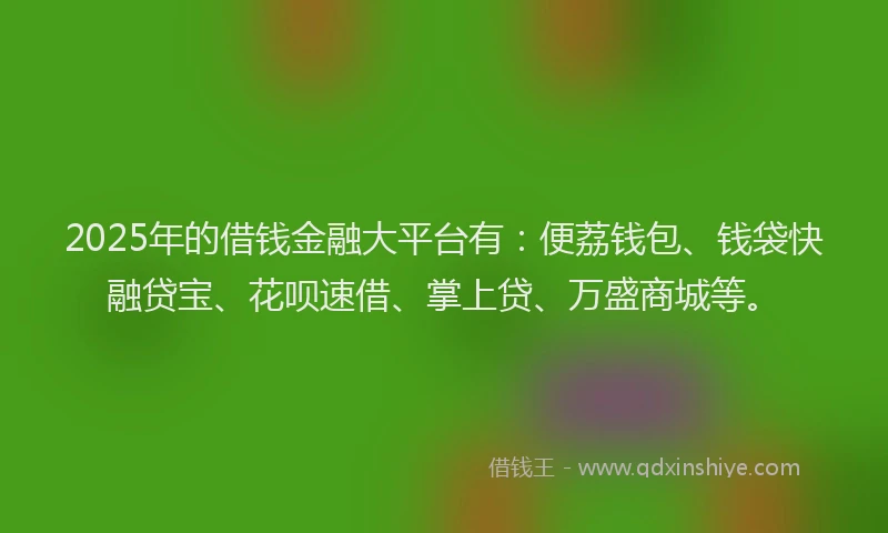 2025年的借钱金融大平台有：便荔钱包、钱袋快融贷宝、花呗速借、掌上贷、万盛商城等。