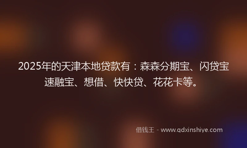 2025年的天津本地贷款有：森森分期宝、闪贷宝速融宝、想借、快快贷、花花卡等。