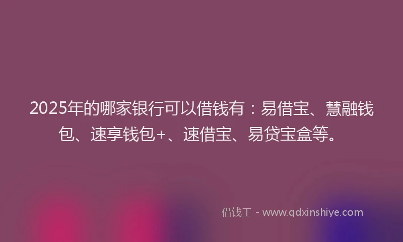 2025年的哪家银行可以借钱有：易借宝、慧融钱包、速享钱包+、速借宝、易贷宝盒等。