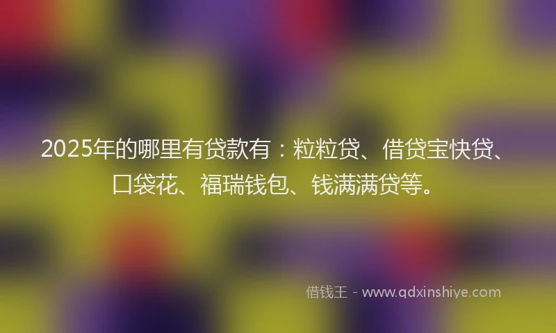 2025年的哪里有贷款有：粒粒贷、借贷宝快贷、口袋花、福瑞钱包、钱满满贷等。
