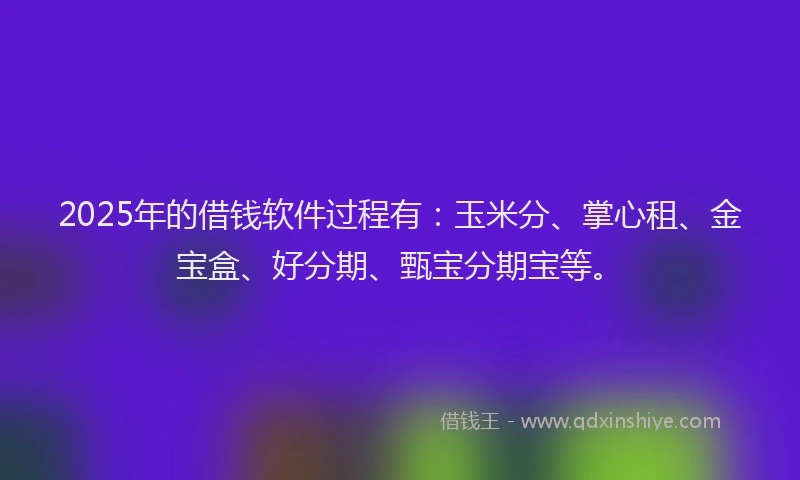 2025年的借钱软件过程有：玉米分、掌心租、金宝盒、好分期、甄宝分期宝等。