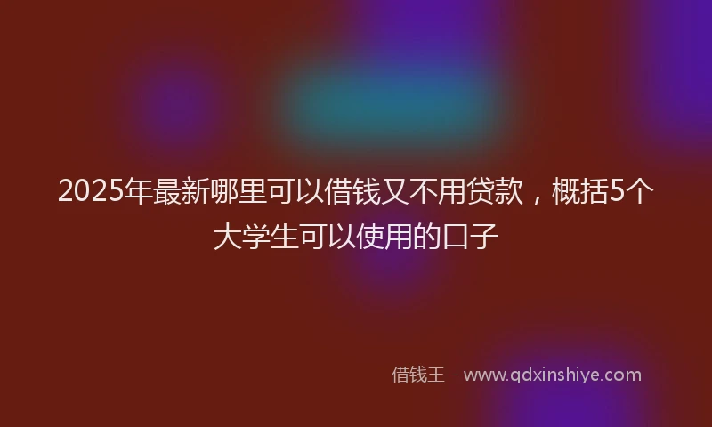 2025年最新哪里可以借钱又不用贷款，概括5个大学生可以使用的口子