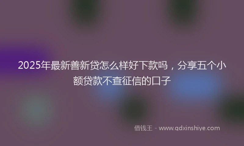2025年最新善新贷怎么样好下款吗，分享五个小额贷款不查征信的口子