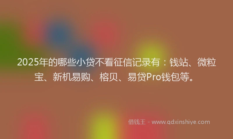2025年的哪些小贷不看征信记录有：钱站、微粒宝、新机易购、榕贝、易贷Pro钱包等。