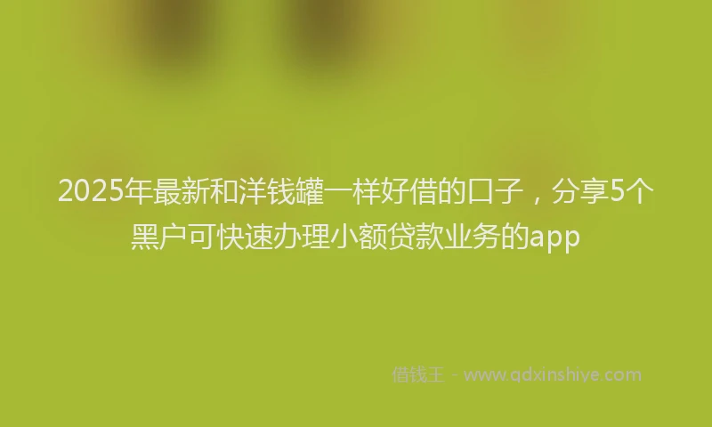 2025年最新和洋钱罐一样好借的口子，分享5个黑户可快速办理小额贷款业务的app