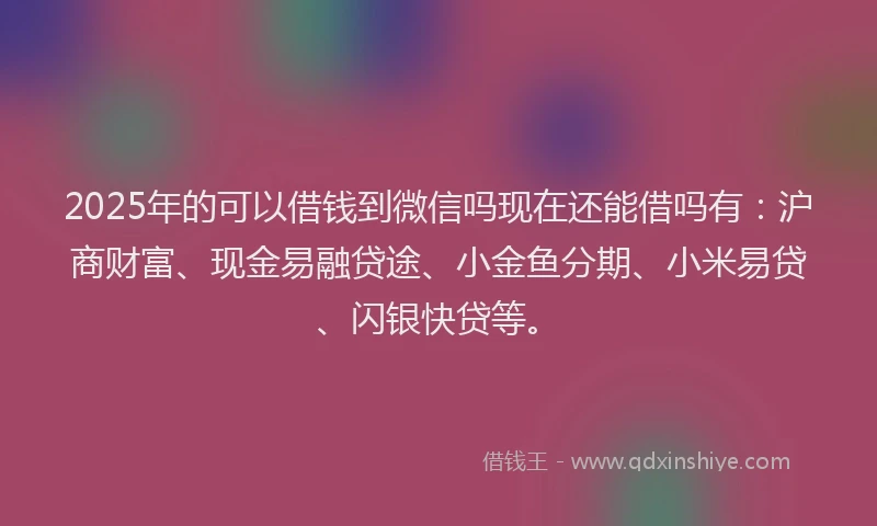 2025年的可以借钱到微信吗现在还能借吗有：沪商财富、现金易融贷途、小金鱼分期、小米易贷、闪银快贷等。