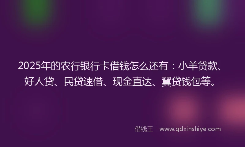 2025年的农行银行卡借钱怎么还有：小羊贷款、好人贷、民贷速借、现金直达、翼贷钱包等。