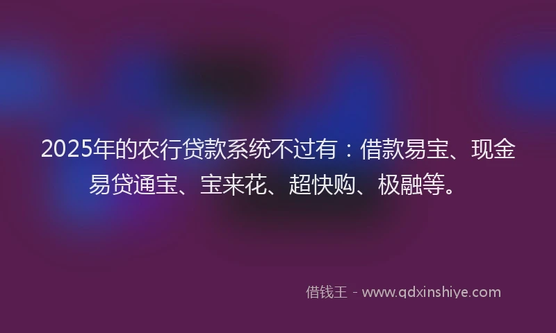 2025年的农行贷款系统不过有：借款易宝、现金易贷通宝、宝来花、超快购、极融等。