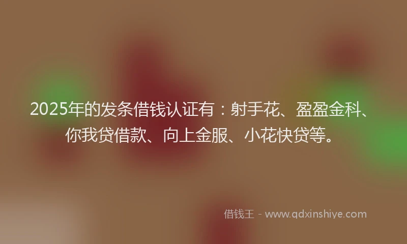 2025年的发条借钱认证有：射手花、盈盈金科、你我贷借款、向上金服、小花快贷等。