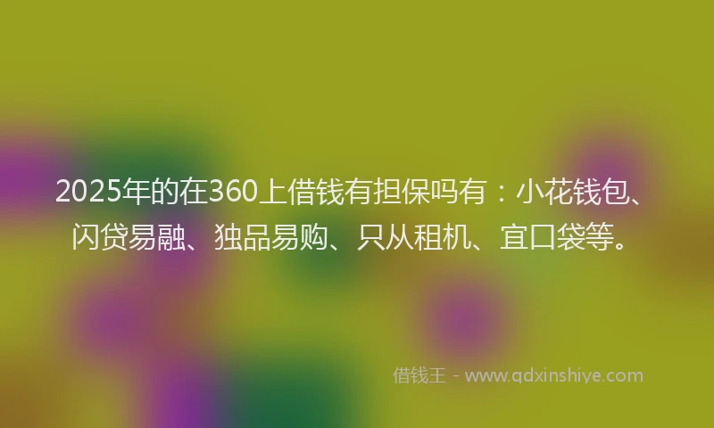 2025年的在360上借钱有担保吗有：小花钱包、闪贷易融、独品易购、只从租机、宜口袋等。