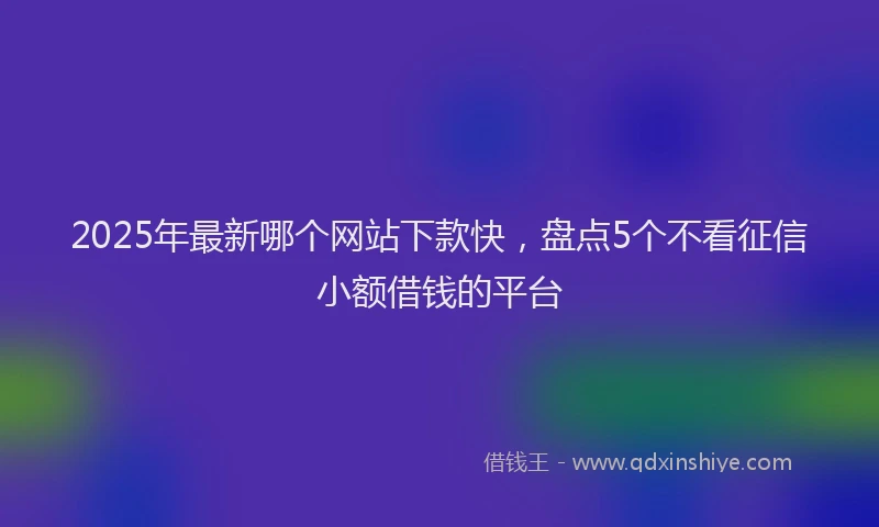 2025年最新哪个网站下款快，盘点5个不看征信小额借钱的平台