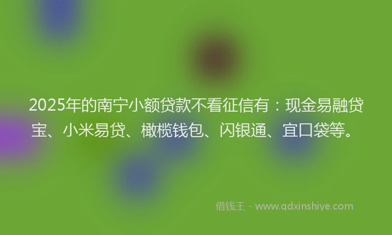 2025年的南宁小额贷款不看征信有：现金易融贷宝、小米易贷、橄榄钱包、闪银通、宜口袋等。