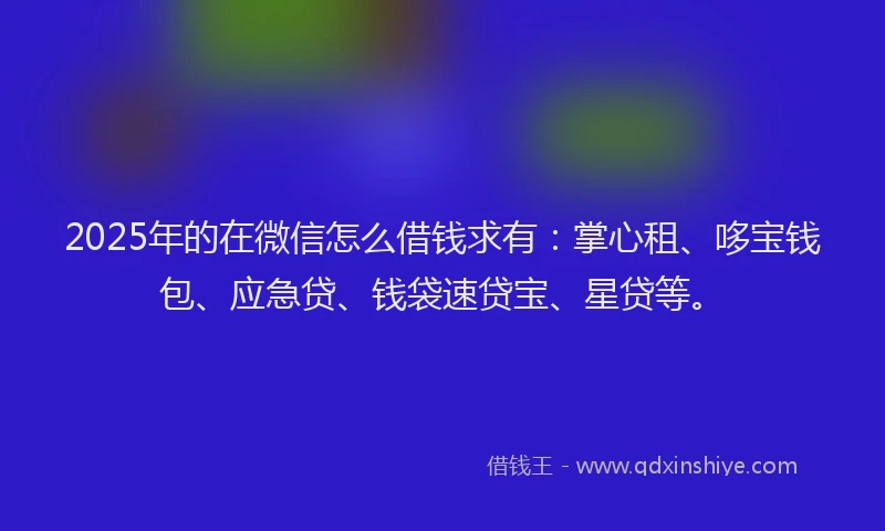 2025年的在微信怎么借钱求有：掌心租、哆宝钱包、应急贷、钱袋速贷宝、星贷等。
