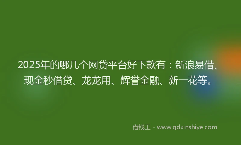 2025年的哪几个网贷平台好下款有：新浪易借、现金秒借贷、龙龙用、辉誉金融、新一花等。