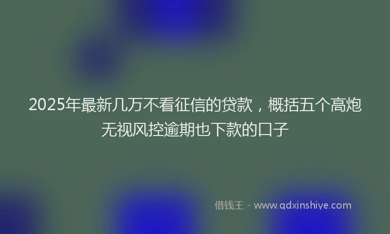 2025年最新几万不看征信的贷款，概括五个高炮无视风控逾期也下款的口子