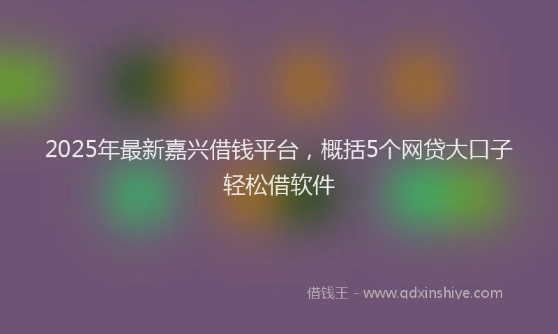 2025年最新嘉兴借钱平台，概括5个网贷大口子轻松借软件