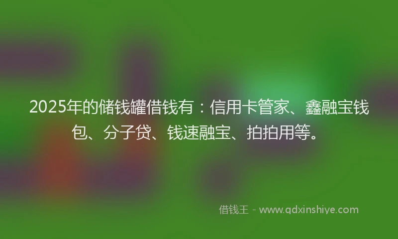 2025年的储钱罐借钱有：信用卡管家、鑫融宝钱包、分子贷、钱速融宝、拍拍用等。