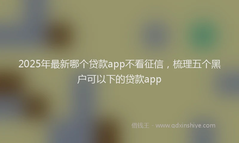 2025年最新哪个贷款app不看征信，梳理五个黑户可以下的贷款app
