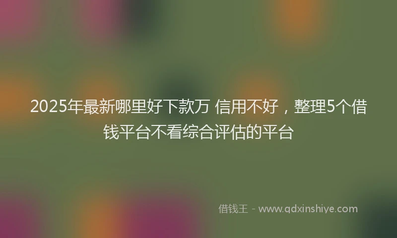 2025年最新哪里好下款万 信用不好，整理5个借钱平台不看综合评估的平台