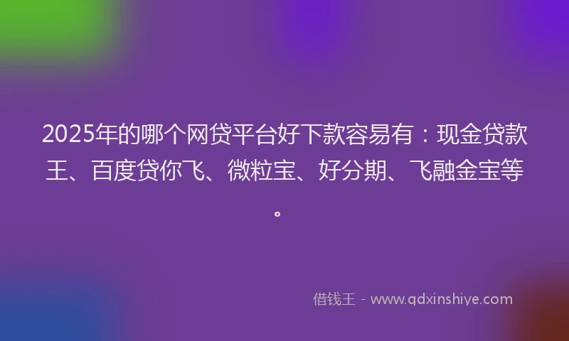 2025年的哪个网贷平台好下款容易有：现金贷款王、百度贷你飞、微粒宝、好分期、飞融金宝等。