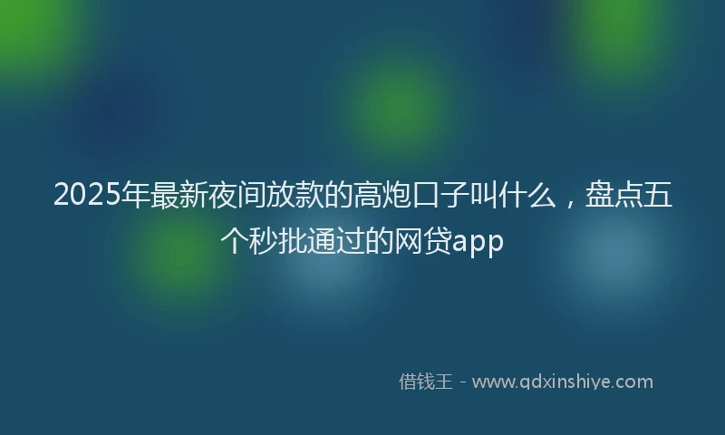 2025年最新夜间放款的高炮口子叫什么，盘点五个秒批通过的网贷app