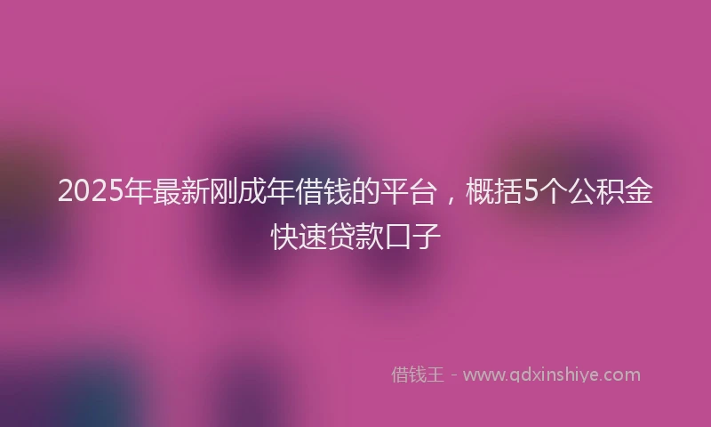 2025年最新刚成年借钱的平台，概括5个公积金快速贷款口子