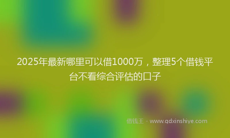 2025年最新哪里可以借1000万，整理5个借钱平台不看综合评估的口子