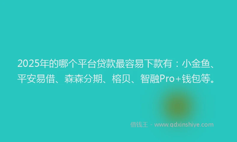 2025年的哪个平台贷款最容易下款有：小金鱼、平安易借、森森分期、榕贝、智融Pro+钱包等。
