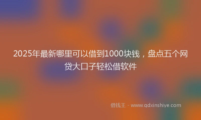 2025年最新哪里可以借到1000块钱，盘点五个网贷大口子轻松借软件