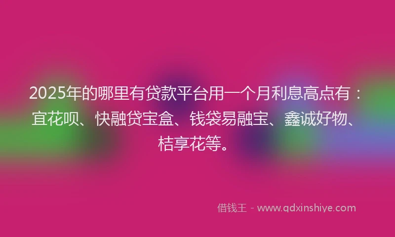 2025年的哪里有贷款平台用一个月利息高点有：宜花呗、快融贷宝盒、钱袋易融宝、鑫诚好物、桔享花等。