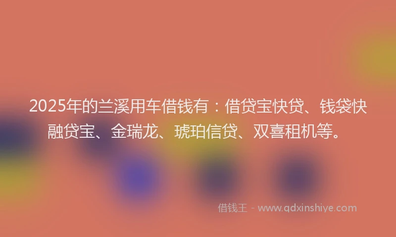 2025年的兰溪用车借钱有：借贷宝快贷、钱袋快融贷宝、金瑞龙、琥珀信贷、双喜租机等。