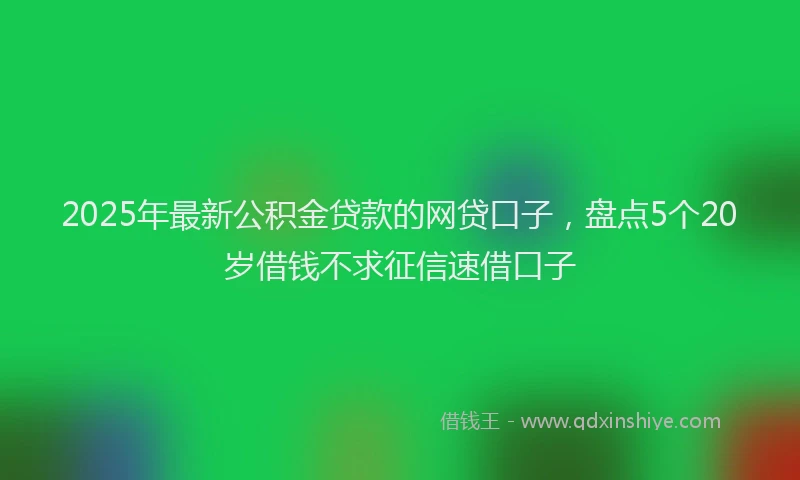 2025年最新公积金贷款的网贷口子，盘点5个20岁借钱不求征信速借口子