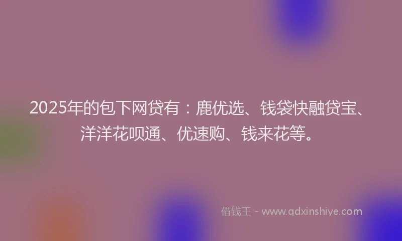 2025年的包下网贷有：鹿优选、钱袋快融贷宝、洋洋花呗通、优速购、钱来花等。