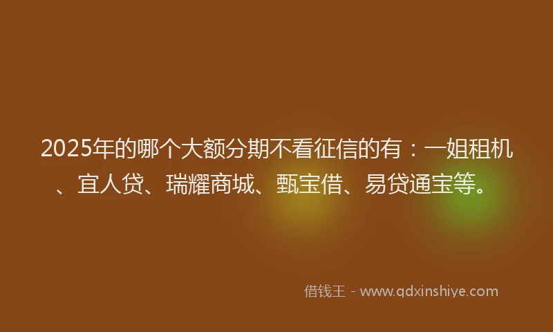 2025年的哪个大额分期不看征信的有：一姐租机、宜人贷、瑞耀商城、甄宝借、易贷通宝等。