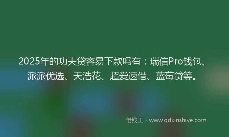 2025年的功夫贷容易下款吗有：瑞信Pro钱包、派派优选、天浩花、超爱速借、蓝莓贷等。