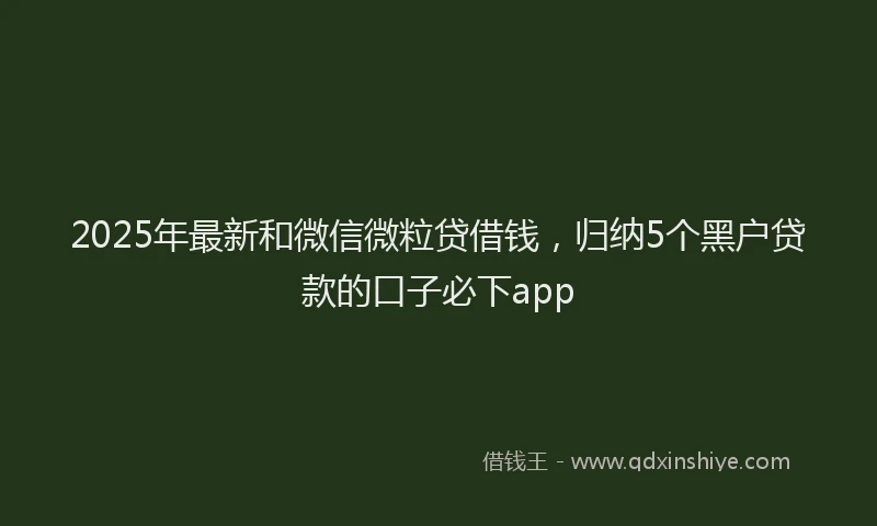 2025年最新和微信微粒贷借钱，归纳5个黑户贷款的口子必下app