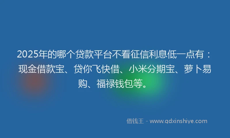 2025年的哪个贷款平台不看征信利息低一点有：现金借款宝、贷你飞快借、小米分期宝、萝卜易购、福禄钱包等。