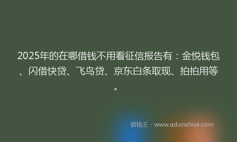 2025年的在哪借钱不用看征信报告有：金悦钱包、闪借快贷、飞鸟贷、京东白条取现、拍拍用等。