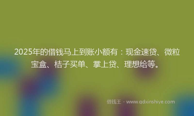 2025年的借钱马上到账小额有：现金速贷、微粒宝盒、桔子买单、掌上贷、理想给等。