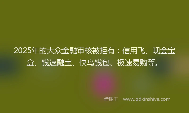 2025年的大众金融审核被拒有：信用飞、现金宝盒、钱速融宝、快鸟钱包、极速易购等。