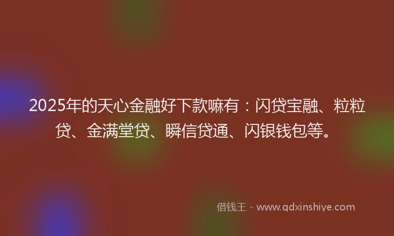 2025年的天心金融好下款嘛有：闪贷宝融、粒粒贷、金满堂贷、瞬信贷通、闪银钱包等。