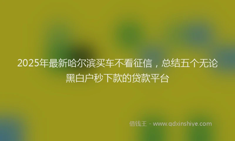 2025年最新哈尔滨买车不看征信，总结五个无论黑白户秒下款的贷款平台