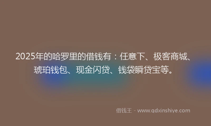 2025年的哈罗里的借钱有：任意下、极客商城、琥珀钱包、现金闪贷、钱袋瞬贷宝等。