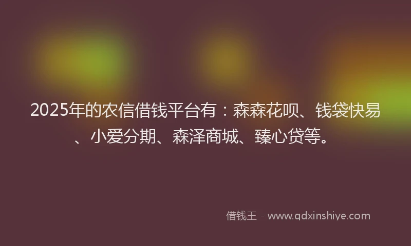 2025年的农信借钱平台有：森森花呗、钱袋快易、小爱分期、森泽商城、臻心贷等。