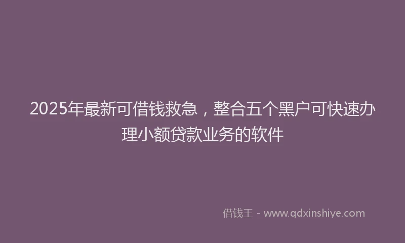 2025年最新可借钱救急，整合五个黑户可快速办理小额贷款业务的软件